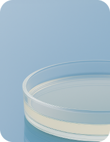 기능성 코팅 소재